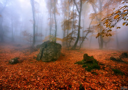 Autumn misty ... ... / ***