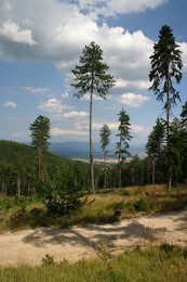 Pirin, Bulgaria - 2 / ***