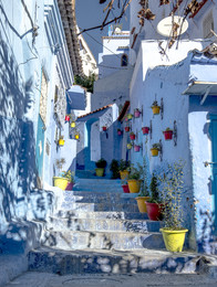 The streets of the blue city. / ***