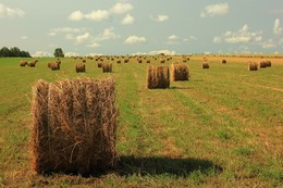 Tumbleweed / ***