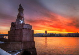 sphinxes of Saint - Petersburg / 17.12.2015