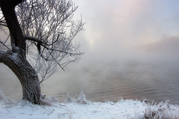 Dawn, fog, frost / ***