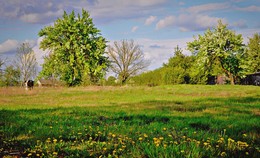 Spring in the Country / ***