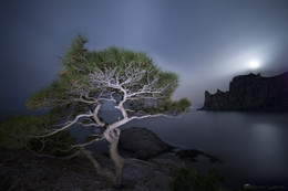 Night guard / ***