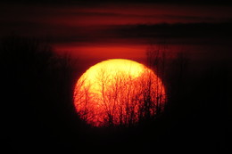 Fiery sunset / ***