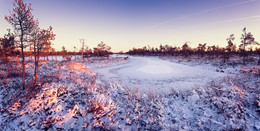 Marshmallow marsh / ***