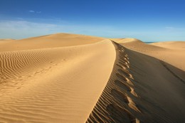 Dunas de Maspalomas (Gran Canaria) / Wunderbares Naturschauspiel in Gran Canaria, die Dunas de Maspalomas.