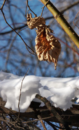Autumn and winter ... / ***