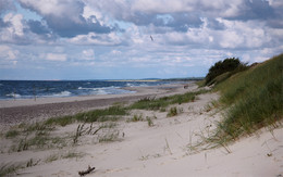 Dune and wind / ***