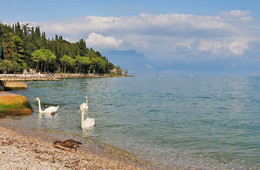 Lake Garda / ***