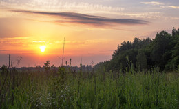 Waning summer day drunk ... / ***