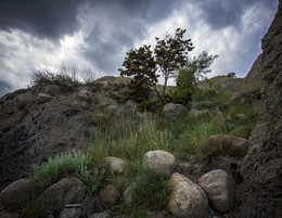 Rock Stone dozhdyu.ling / ***