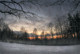 And the branches reach for the sun / ***