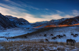 Winter evening in the gorge Kastek / ***