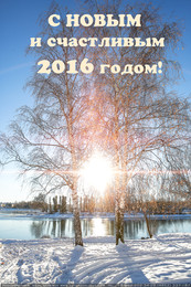 Happy New Year! / ***