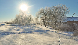 Hibernation / ***