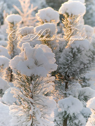 Happy New Year 2016! / ***