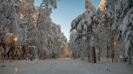 Winter road / ***