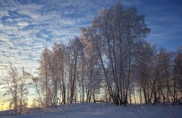 Everything is covered with frost, absolutely everything! / ***