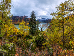 Against the background of the lake. / ***