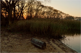 Autumn Twilight / ***