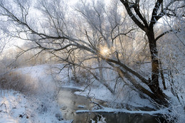 Dawn, fog, frost .. / ***