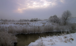 Winter, Dawn, Fog / ***