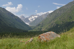 Summer in the mountains / ***