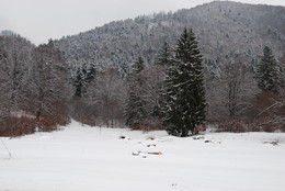 Color white / Miercurea Ciuc