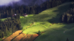 Alpine hillsides / ***