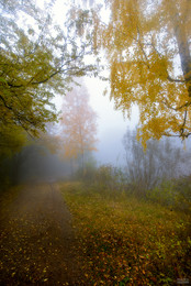 The decoration of the autumn mist / ***