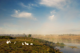 Autumn, Dawn, Fog ... / ***