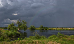 Thunderstorm over the meadow ... / ...