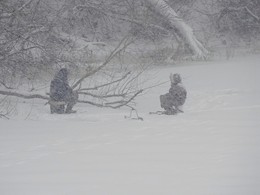 Fishing in the snow / ***