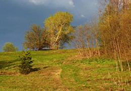 Before the storm ... / ***