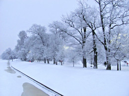 Epiphany frosts / ***