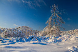 One soldier in the field / ***