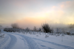 Dawn, fog, frost .. / ***