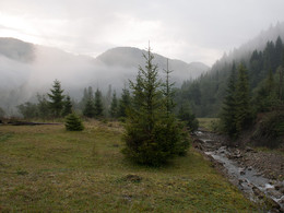 Carpathians / ***