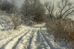 Winter road / ***