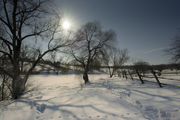 Winter frost ... / ***