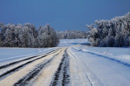 Winter road / ***