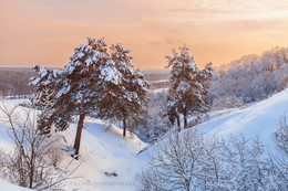 Winter Sunset / ***
