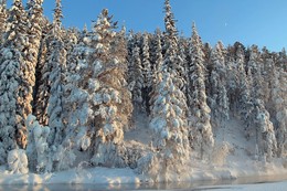 white winter / ***