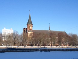 cathedral / ***