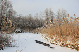 Winter Stokhid / https://www.facebook.com/sergej.palko