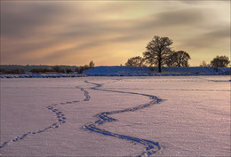 Winter walk. / ***