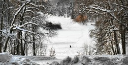 Lone fisherman / ***