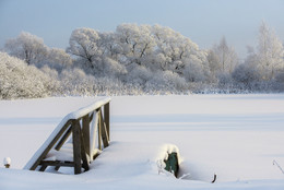 Winter Pond / ***
