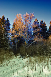 It was getting dark ... / ***